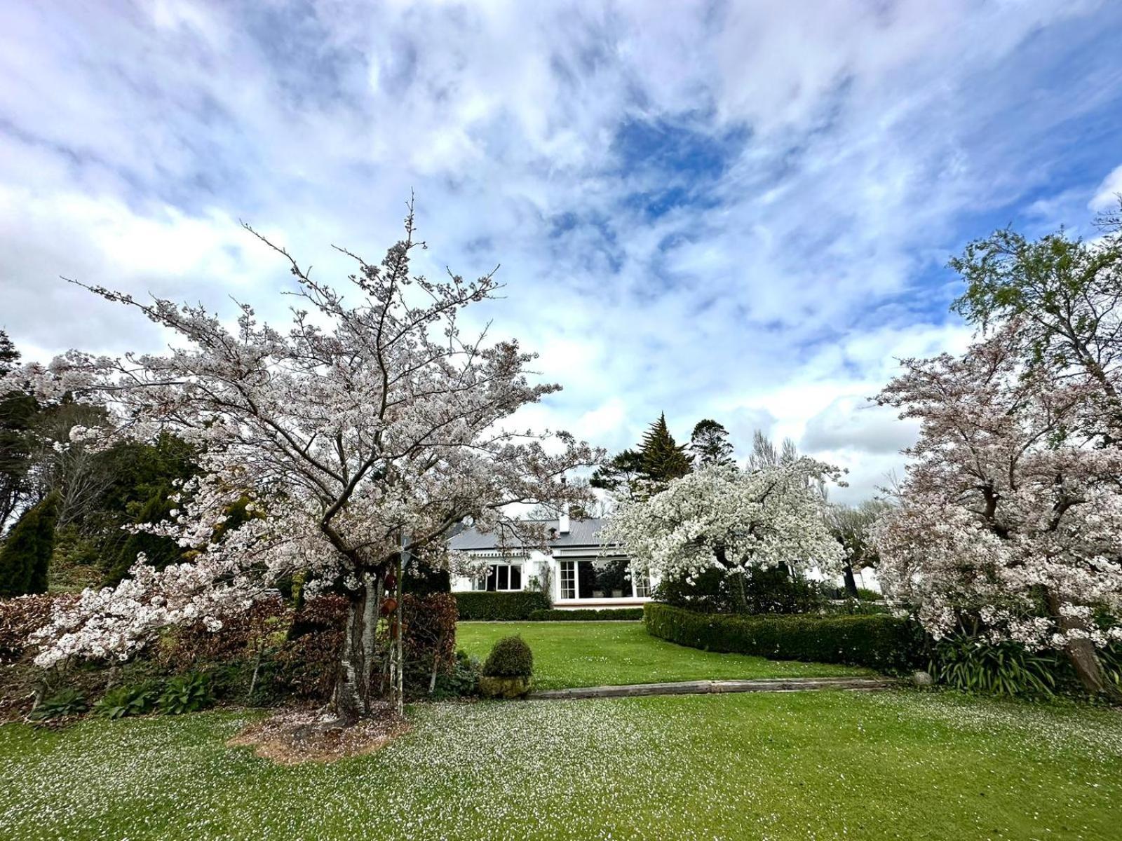 Whiteacres Bed and Breakfast Invercargill Exteriör bild